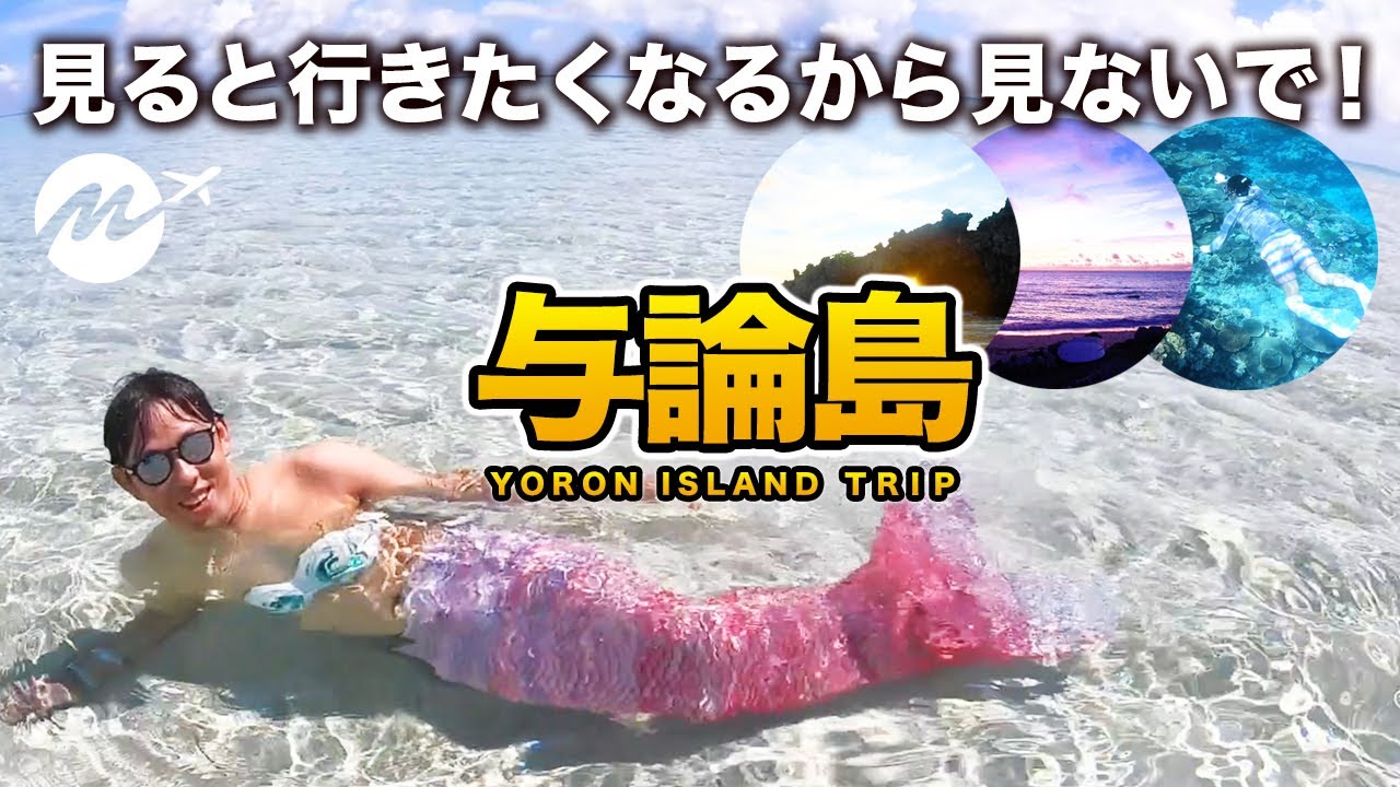 【完全保存版】与論島が凄すぎた！ヨロン島旅行Vlog【百合ヶ浜・離島・観光・日本国内旅行】