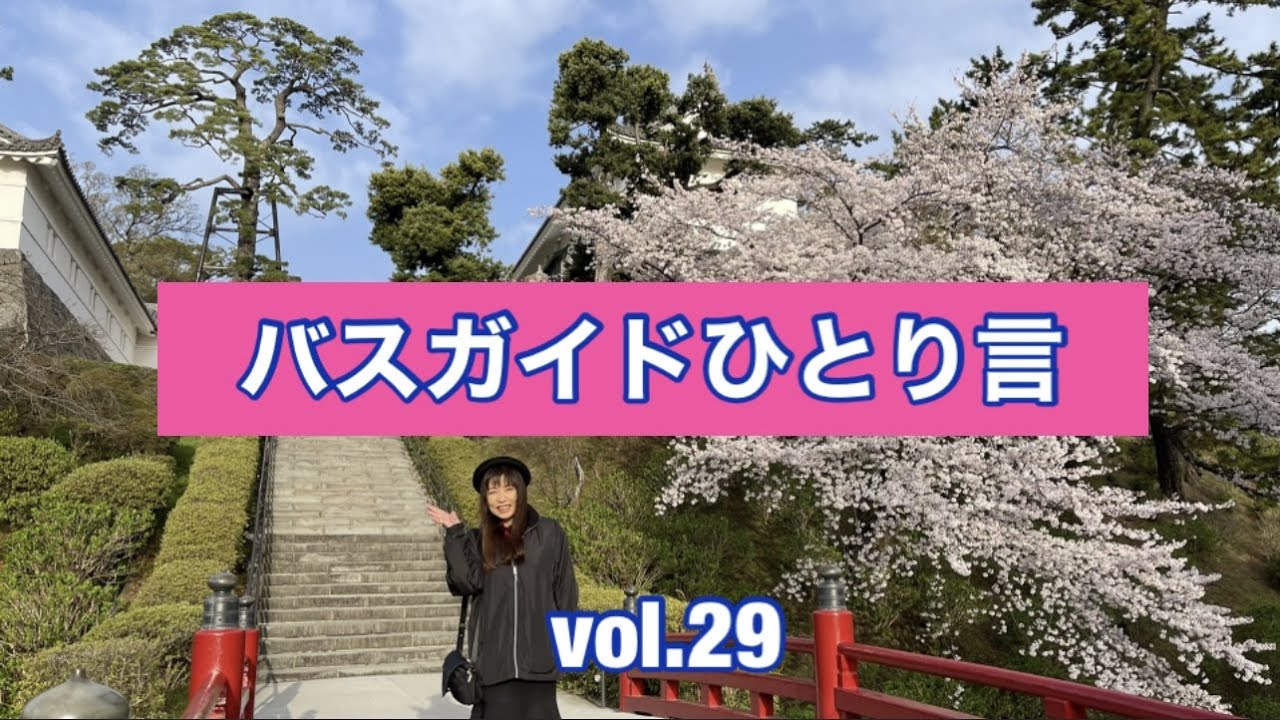バスガイドひとり言  vol.29 絶景！桜満開の小田原城