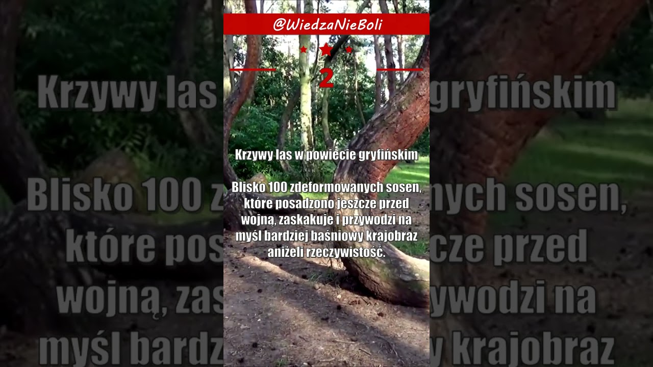 POLSKA 🌞 5 niezwykłych miejsc, o których nie wiedziałeś! #shorts #polska #ciekawostki #top5 #top10
