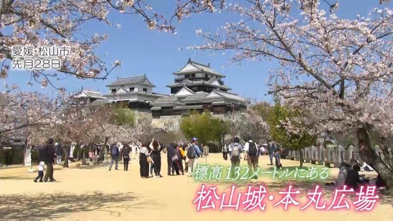観光地に戻った春のにぎわい ～愛媛・松山城～【令和のサクラ】｜TBS NEWS DIG