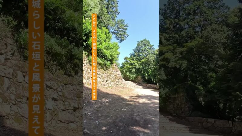 安土城跡1分ツアー　#城 #城跡 #安土城 #織田信長 #歴史 #史跡