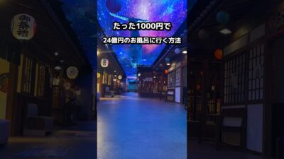今回紹介するのは総工費24億のお風呂をご紹介!#湯楽城#夏#千葉県 #温泉