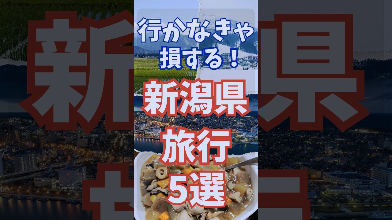 新潟 旅行 5選 行かなきゃ損する 新潟観光 おすすめ5選 #shorts #short