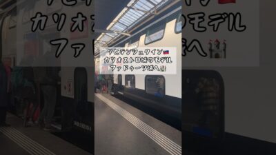 【29歳専業主婦】カリオストロの城のモデルといわれてるファドゥーツ城行ってきた#shorts #リヒテンシュタイン #スイス #1泊2日 #夫婦旅 #イギリス生活 #駐在妻