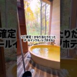年80泊以上する私と娘が絶賛したオールインクルーシブホテル #shorts #short #温泉旅行 #那須 #子連れ旅行 #家族旅行