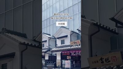 足湯もグルメも楽しめる絶景観光スポット🐟#小田原 #おでかけ #デートスポット #ミナカ小田原 #コスパ旅