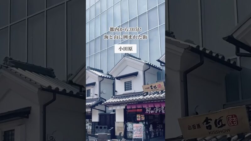 足湯もグルメも楽しめる絶景観光スポット🐟#小田原 #おでかけ #デートスポット #ミナカ小田原 #コスパ旅