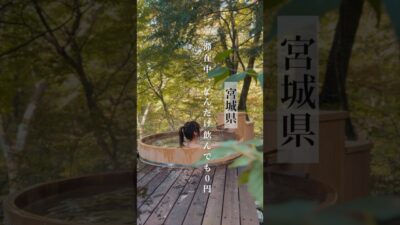 【宮城】お酒好きさん必見なオールインクルージブ温泉宿♨️🍻 #だいこんの花 が最高すぎたので、紹介🙌  #蔵王 のおすすめグルメもあるので是非行ってみて! #宮城旅行 #蔵王旅行 #温泉旅行