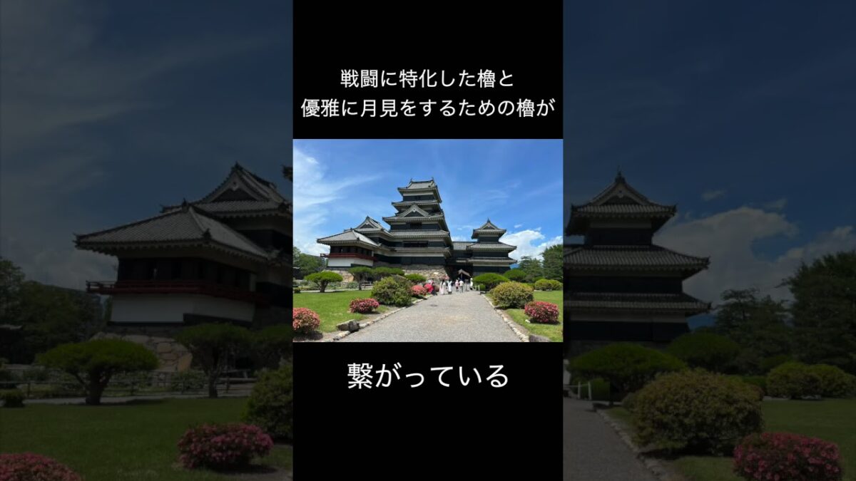 【1分でわかる】旅人が教える松本城#日本一周 #バイク旅