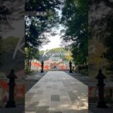 【鹿児島】3泊4日で行く、九州一人旅#vlog #鹿児島 #霧島神宮 #桜島 #社会人の休日 #一人旅