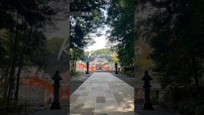 【鹿児島】3泊4日で行く、九州一人旅#vlog #鹿児島 #霧島神宮 #桜島 #社会人の休日 #一人旅