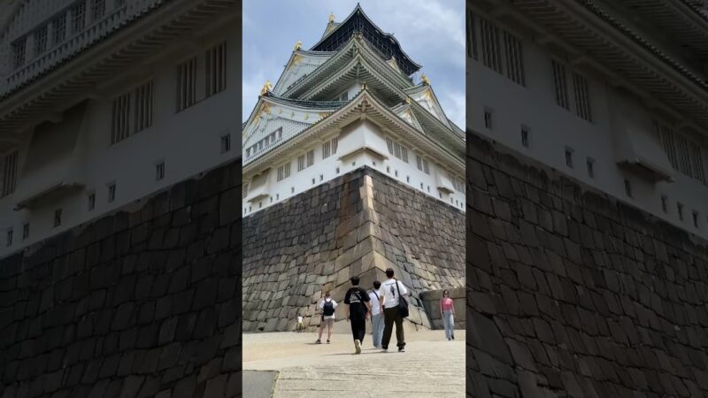 大阪城 Osaka Castle #japan #osaka #castle #shorts #日本 #大阪 #大阪城