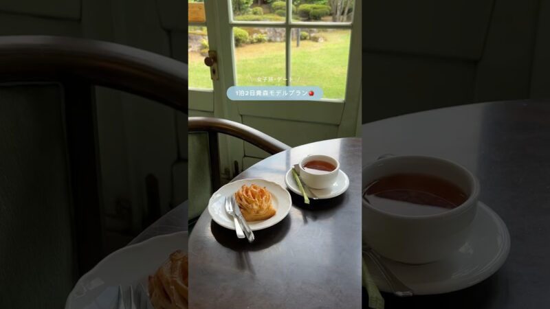 絶対はずさない1泊2日青森モデルプラン🍎#青森旅行#国内旅行#東北旅行#女子旅