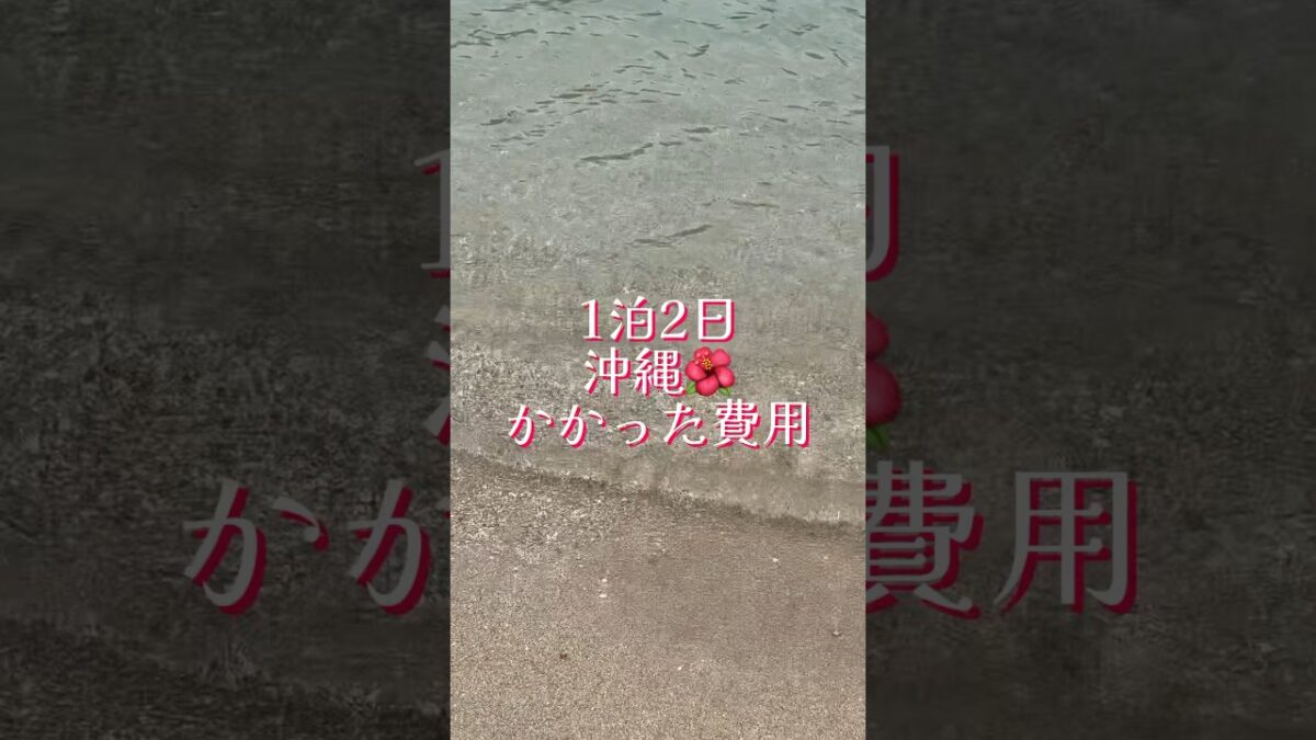 【沖縄🌺】1泊2日の旅行でかかった費用をご紹介します！#沖縄 #休日旅行 #土日旅行 #沖縄旅行 #国内線 #国内旅行 #女一人旅