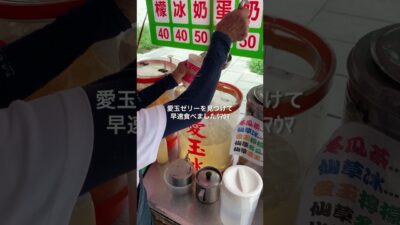3泊４日の台湾旅行vlog🇹🇼✈️暮らすように旅をする1日編🦑#台湾vlog#Taiwan#台北#台湾#台北#九份#旅vlog#旅行 #台北観光