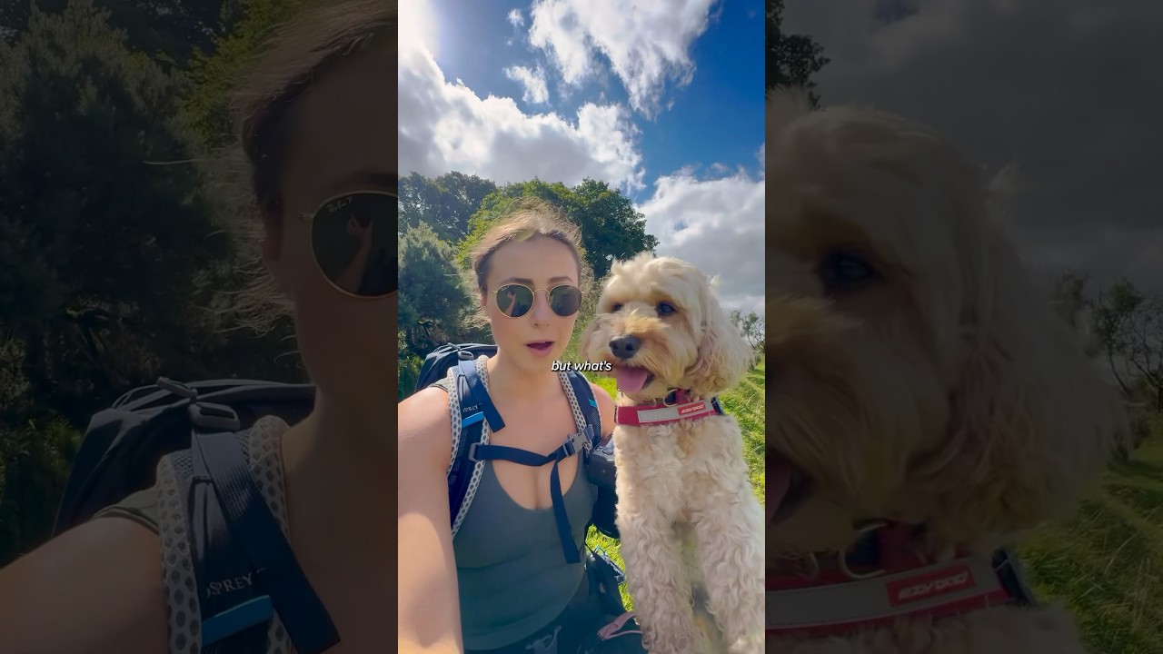 It’s not Wales without a castle right? The perfect Welsh Hike with Pips 🐶 #wales #fyp #hikinggirls