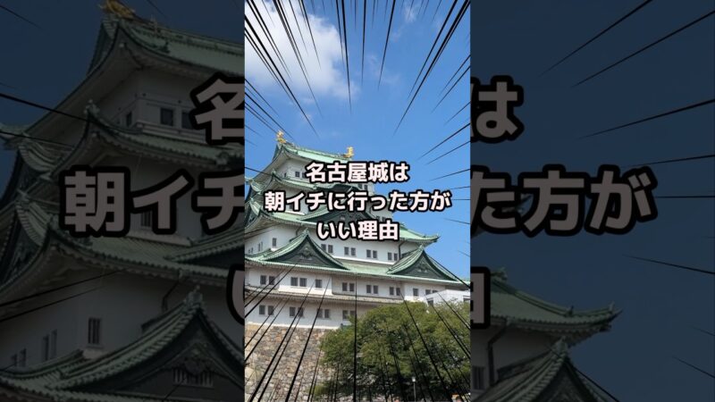 名古屋城行くならここに気を付けろ！ #nagoya