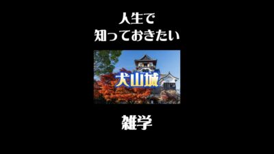犬山城の意外な雑学#歴史 #観光 #雑学 #旅行ガイド #旅行
