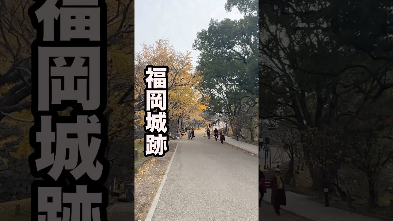 【福岡ミステリー】天守閣が無いお城、福岡城跡