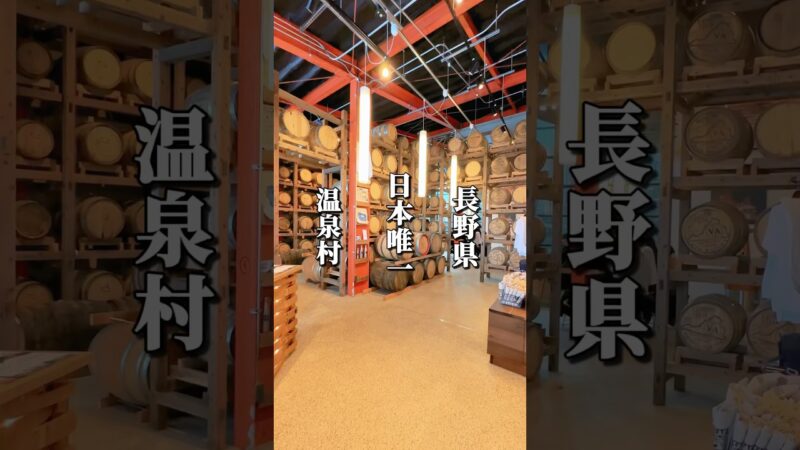 日本唯一の温泉村！無料で楽しめる13の外湯めぐり #長野グルメ #信州グルメ #長野観光 #長野旅行 #長野県 #信州 #野沢温泉 #温泉街