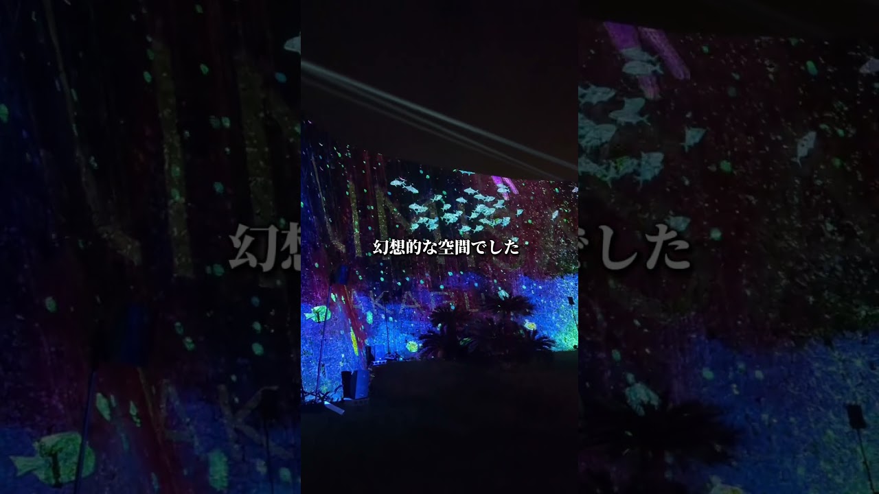 中城城跡ナイトウォークへ行ってきました。#沖縄ナイトウォーク#沖縄イベント#沖縄観光 #中城城跡