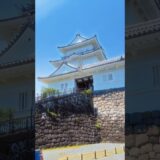 紫陽花咲き乱れる小田原城🏯 #絶景 #旅行 #観光 #flowers #神奈川県
