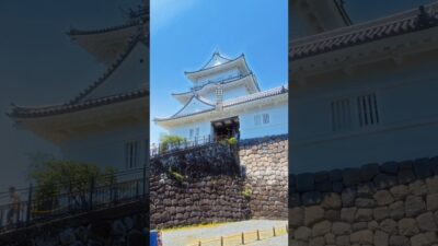 紫陽花咲き乱れる小田原城🏯 #絶景 #旅行 #観光 #flowers #神奈川県