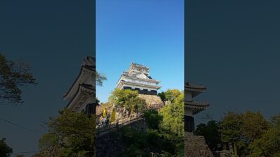 岐阜県の人気観光スポット 岐阜城 #岐阜 #shorts