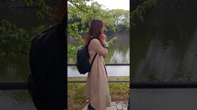 江戸城をガイドツアーしてきた！ #東京 #城 #shorts
