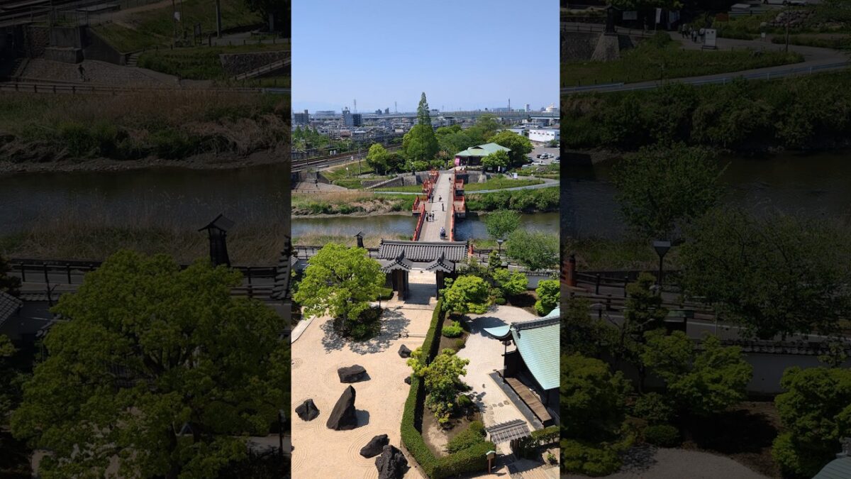 清洲城の天守閣から見る景色は絶景でした🏯 #shorts #castle #旅行 #travel #japan