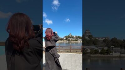 【唐津城】野生の石垣探しに行きました！ -#佐賀県 #旅行 #城