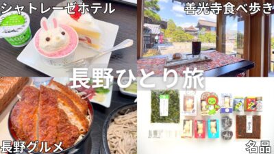 【女ひとり旅】一泊二日長野旅行vlog🌸シャトレーゼホテル長野に善光寺食べ歩き、無料の動物園、お土産購入品etc… 【国内旅行車なし】
