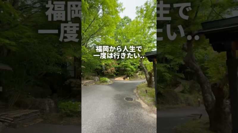 全室離れ露天風呂付きのご褒美宿#AMATO旅行#大分旅行おでかけ