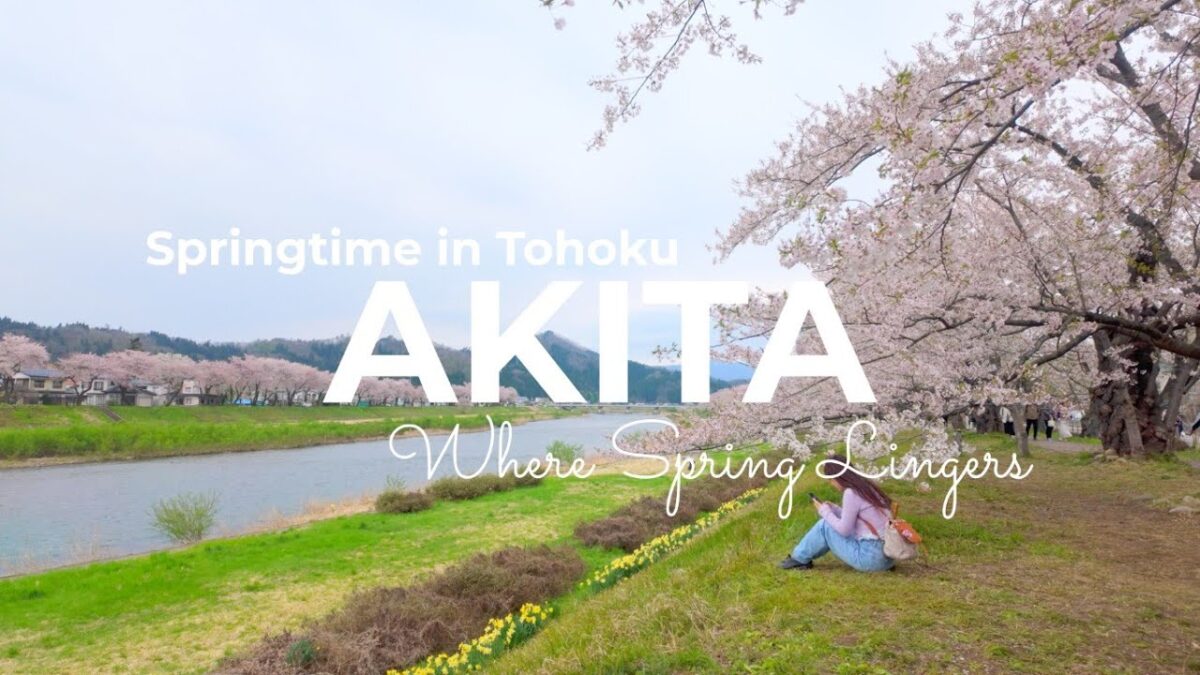 【東北旅行】秋田＆岩手観光では外せない！｜春の東北で桜・秘湯・グルメを堪能する旅 | 角館＆乳頭温泉郷 巡り♨️| Japan Travel | Japan Vlog |