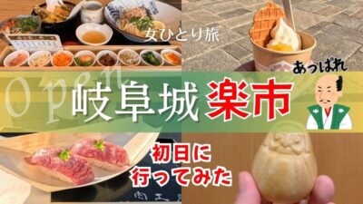 【食べ歩き】岐阜城楽市OPEN初日に行ってみた｜名古屋から20分｜はちみつソフト｜フルーツ飴｜女ひとり旅｜岐阜公園｜