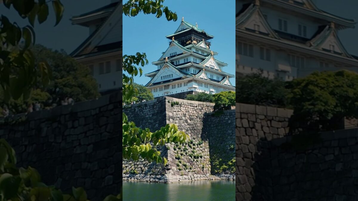 Osaka castle #japan #travel #travelvlog #osaka #osakacastle #osakajapan #japantravel