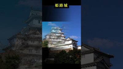 荘厳な白亜の城、姫路城 #姫路城 #世界遺産 #白鷺城 #日本の絶景 #城 #日本の城 #観光 #旅行 #ショート動画 #castle #japan #japanesecastle