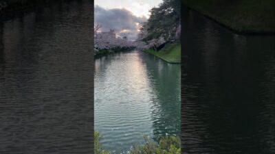 弘前城、外堀に桜を見ながら追手門を望む   #さくら #sakura #cherryblossom #桜 #弘前 #弘前公園 #弘前城 #旅行 #travel #日本一 #追手門