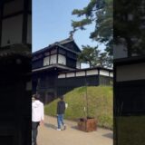 来年も行きたい弘前城、外堀に満開の桜    #さくら #sakura #cherryblossom #桜 #弘前 #弘前公園 #弘前城 #旅行 #travel #日本一 #追手門 #満開の桜 #満開