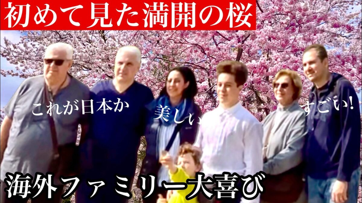「これが日本の桜…」満開の桜が咲き誇る大阪城公園！外国人観光客も驚愕で写真を撮る手が止まらない！