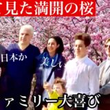 「これが日本の桜…」満開の桜が咲き誇る大阪城公園！外国人観光客も驚愕で写真を撮る手が止まらない！
