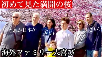 「これが日本の桜…」満開の桜が咲き誇る大阪城公園！外国人観光客も驚愕で写真を撮る手が止まらない！