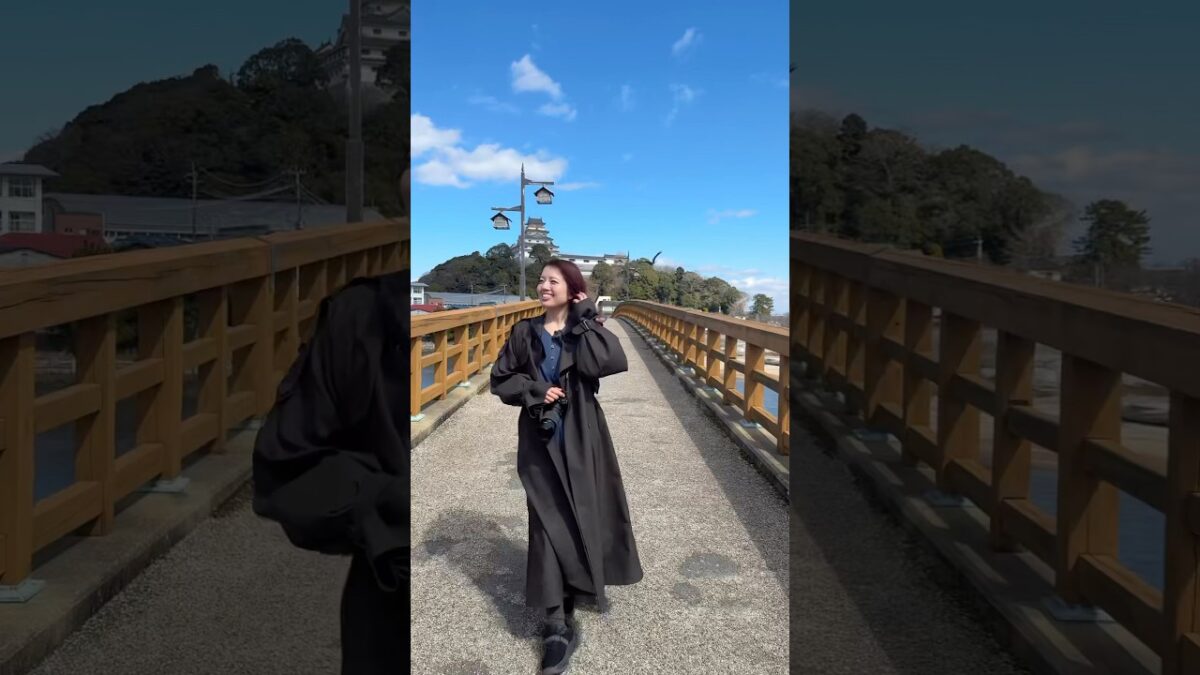 【唐津城】野生の石垣探しに行きました！ -#佐賀県 #旅行 #城