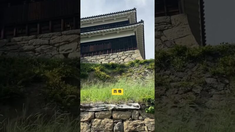 上田城現存三櫓揃い踏み🏯 #上田城 #城