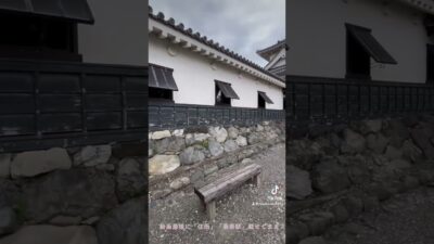 滋賀県長浜市鎮座「長浜城」登城動画🏯