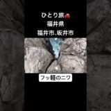 #ひとり旅#旅行#旅#福井#福井市#坂井市#丸岡城#雄島#東尋坊#ヨーロッパ軒#福井駅#恐竜