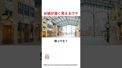 これ知ってた？お城が遠く見えるワケ#ディズニー #雑学