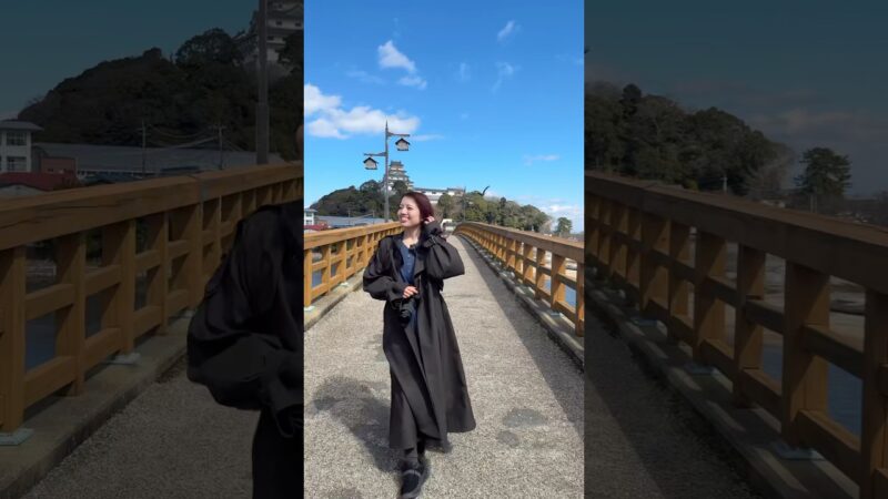【唐津城】野生の石垣探しに行きました！ -#佐賀県 #旅行 #城