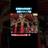 圧倒的な存在感！佐賀ドライブ旅が最高すぎた！#佐賀県 #佐賀旅行 #佐賀観光 #旅行vlog #ドライブ旅 #九州旅行 #ひとり旅
