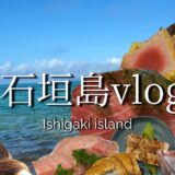 【vlog】石垣島で食べて飲んで癒される人生逃避旅